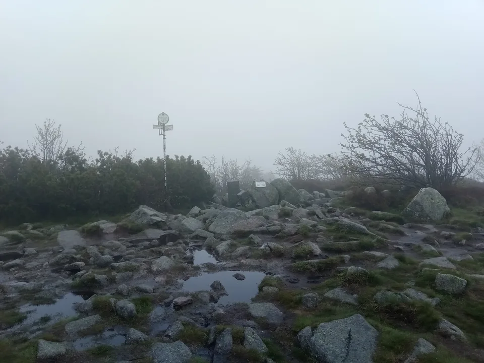 Sommet rocheux du Gazon du Faing dans la brume, avec son balisage.