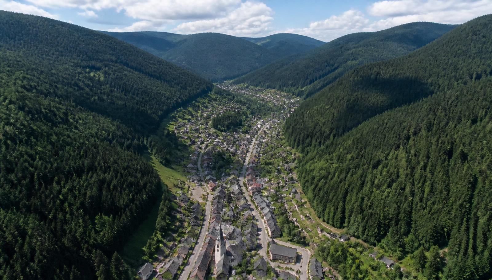 Vue sur La Bresse et le massif du Hohneck, terrain du Nordic Trail La Bresse