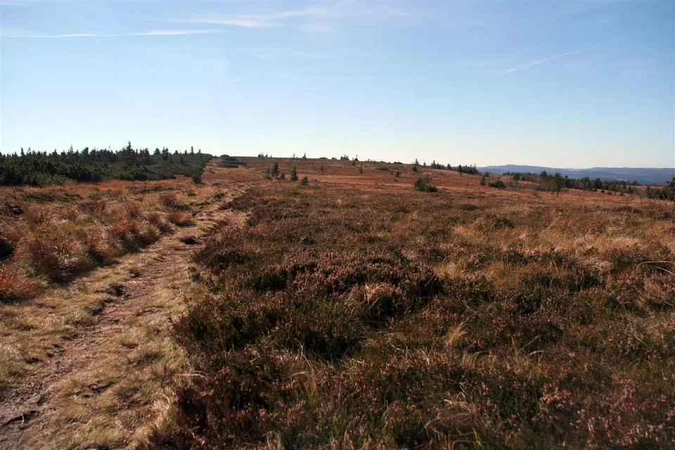 Hautes-chaumes du Gazon du Faing, paysage ouvert de la réserve naturelle.