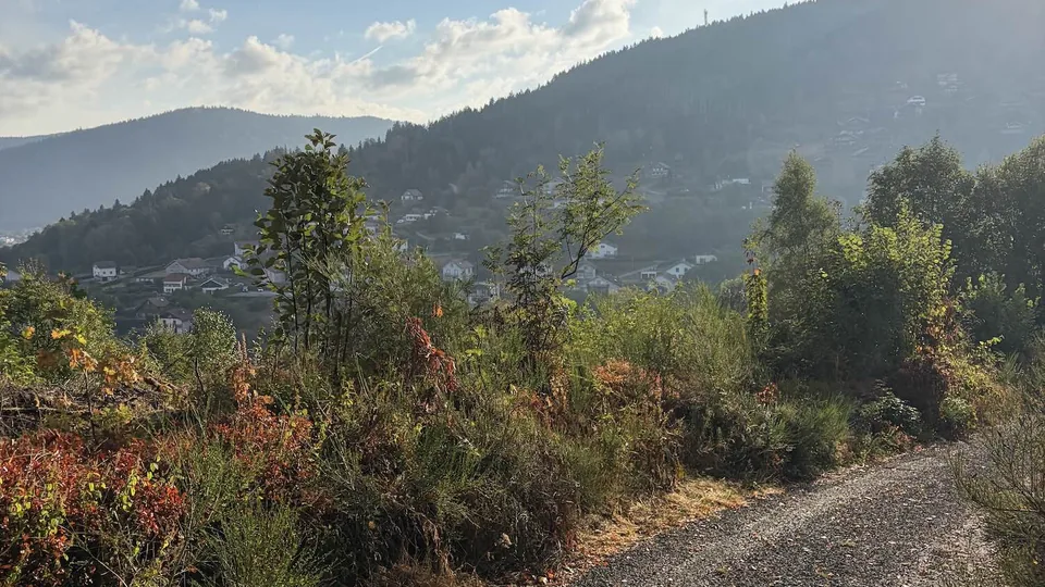 Chemin en balcon au-dessus de Gérardmer, terrain du week-end choc trail