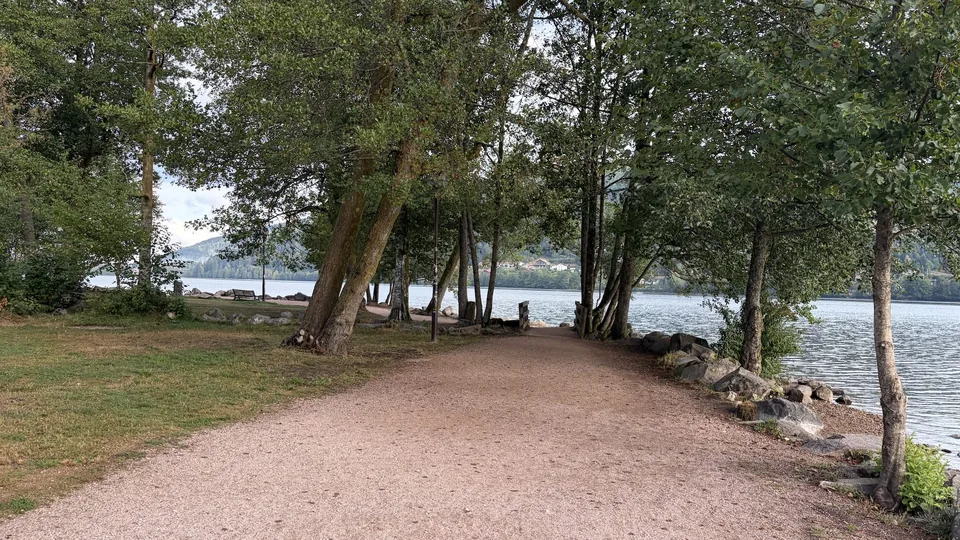 Sentier du tour du lac de Gérardmer sous les arbres, départ à pied de l'appartement
