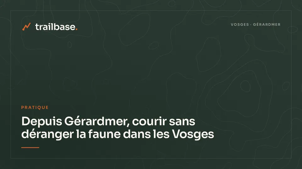 Visuel Trailbase à fond topographique, catégorie Pratique : Depuis Gérardmer, courir sans déranger la faune dans les Vosges